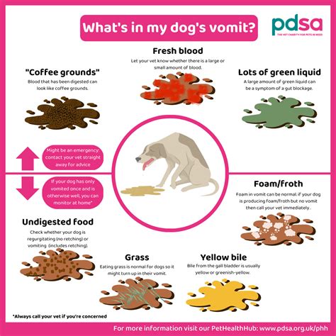 do hot dog eaters throw up after|What happens to your stomach in a hot dog eating .